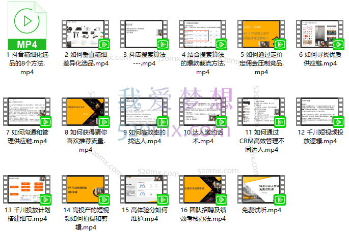 大梨:抖店无货源进阶冲刺课