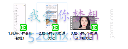 咸鱼小样变现项目