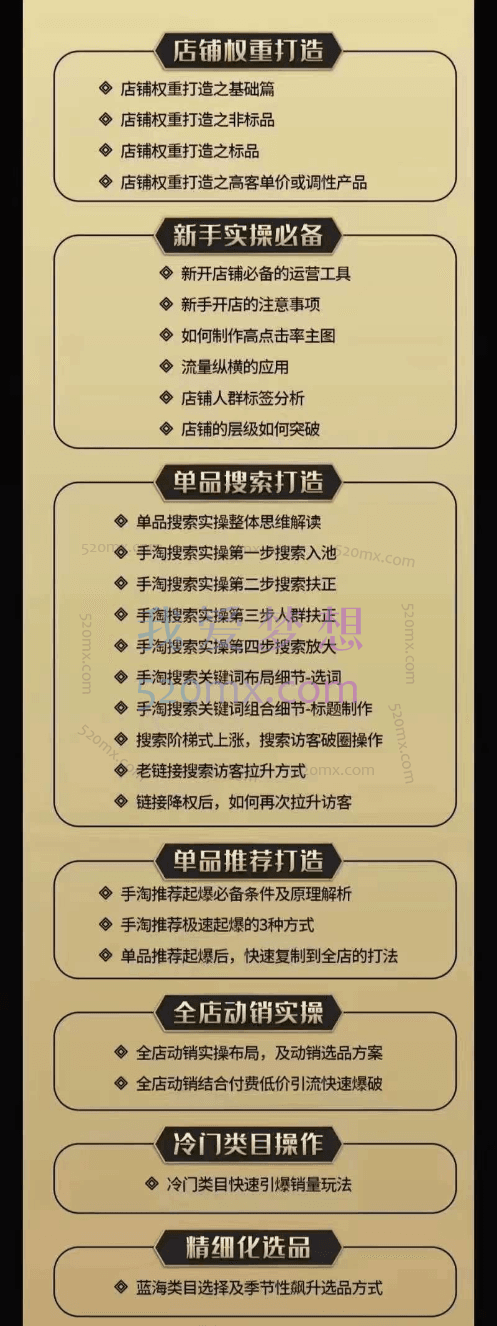 淘系电商入门到精通,手淘搜索,手淘推荐,全店动销 (价值1099元)