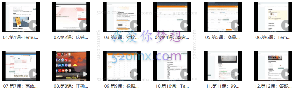 海外版拼多多Temu快速入门实操课,店铺实战从0到1