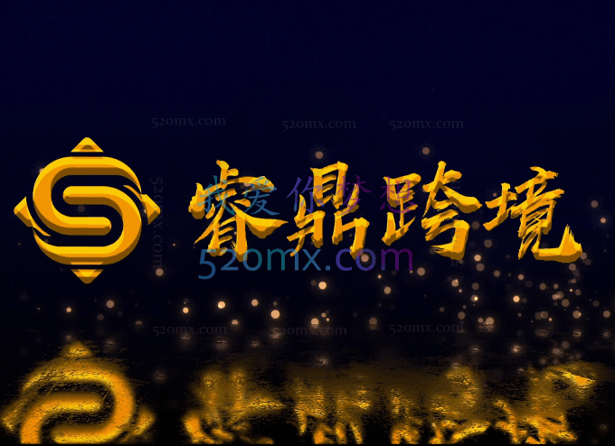 睿鼎跨境Coupang VIP运营学霸卡课程