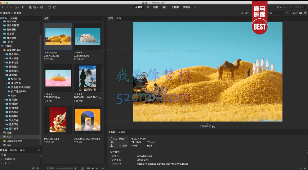 陈飞燕《电商美食摄影线上课》解锁美食摄影技巧+快速变现+工资or销量翻倍