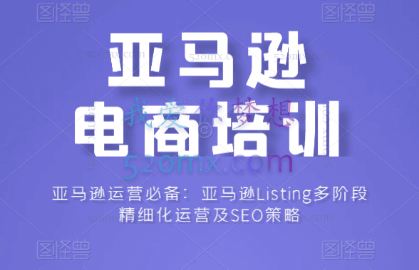 亚马逊运营必备:亚马逊Listing多阶段精细化运营及SEO策略