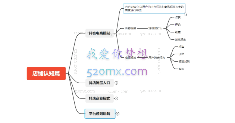 长风:抖音小店精细化全套运营操盘系统课