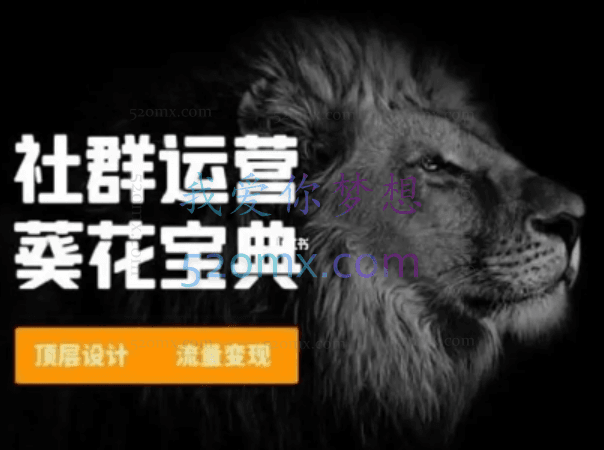 赚钱社群系统运营葵花宝典