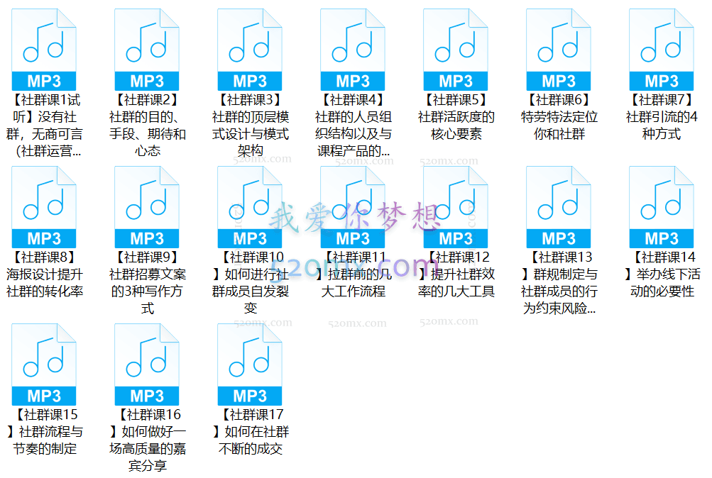 赚钱社群系统运营葵花宝典