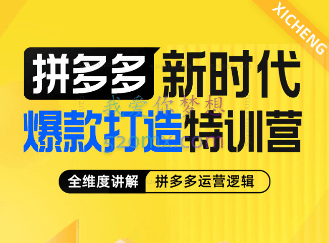 玺承拼多多新时代爆款打造特训营