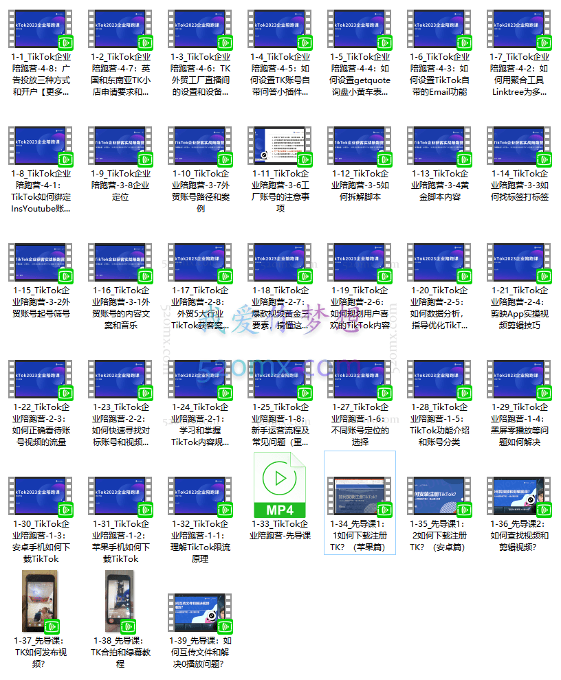 TIKTOK全方位通关专项企业陪跑【第三期】