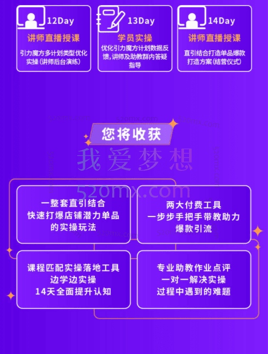 阿呆电商:直引结合单品爆款特训营(第一期)