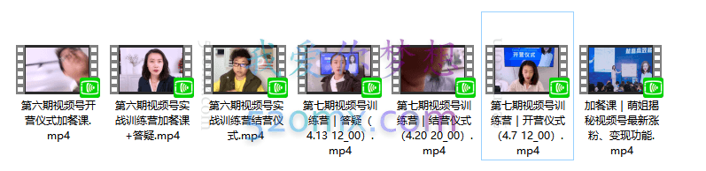 张萌萌：视频号实战训练营