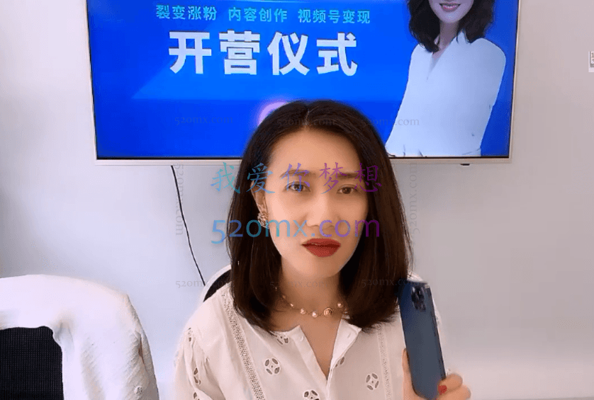 张萌萌：视频号实战训练营