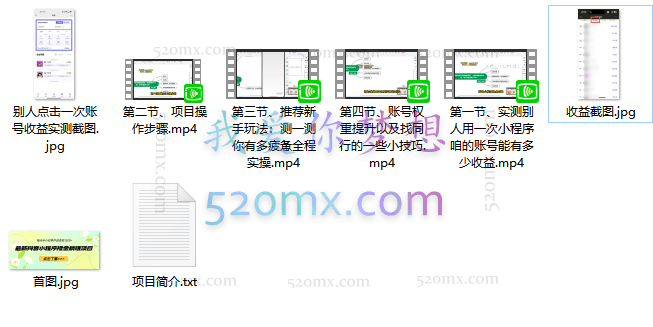 最新抖音小程序撸金躺赚项目，一部手机每天半小时，单个作品变现1300+