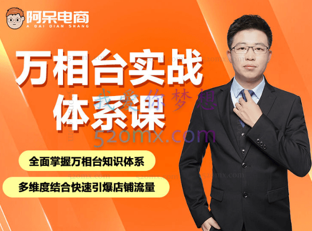 阿呆电商：万相台实战体系课