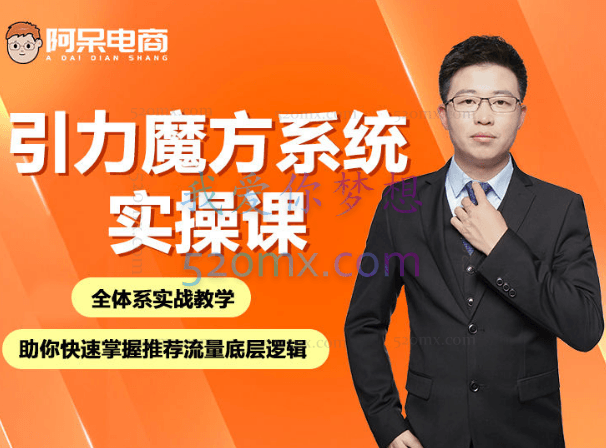 阿呆电商引力魔方系统实操课