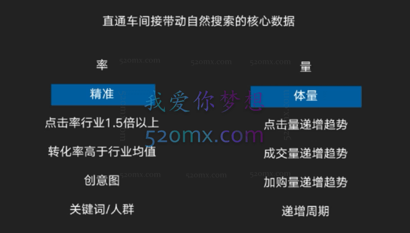 阿呆电商直通车实战体系课