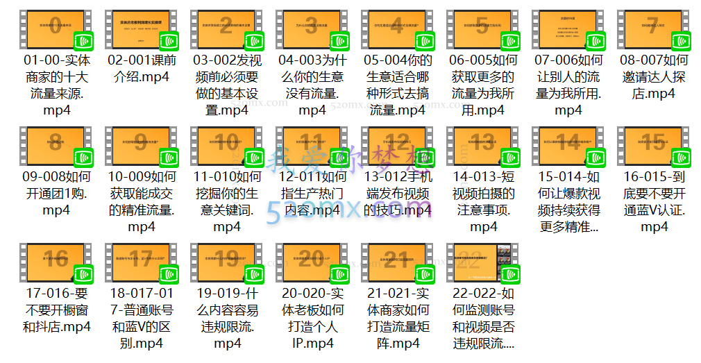网红叫兽:实体老板利润增长实操课