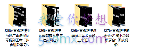 阿甘聊跨境合集,涵盖亚马逊运营选品以及私享会