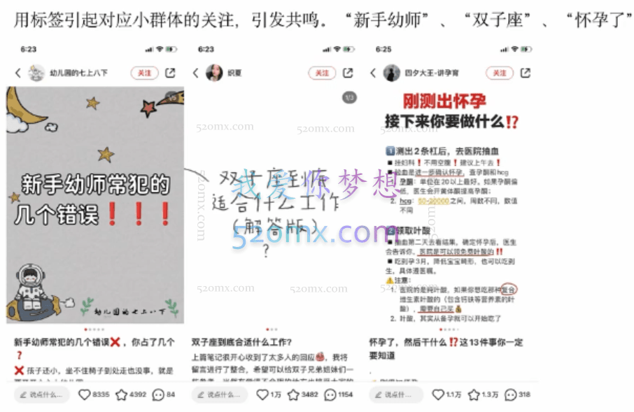 小红书流量盈利系统(第二期急速版)