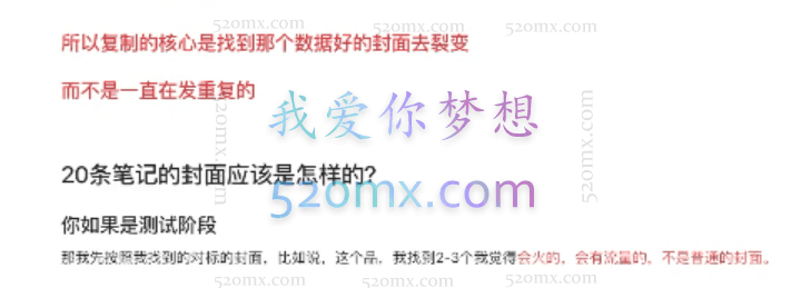 三九小红书开店一年陪伴课,从0到1玩赚小红书开店