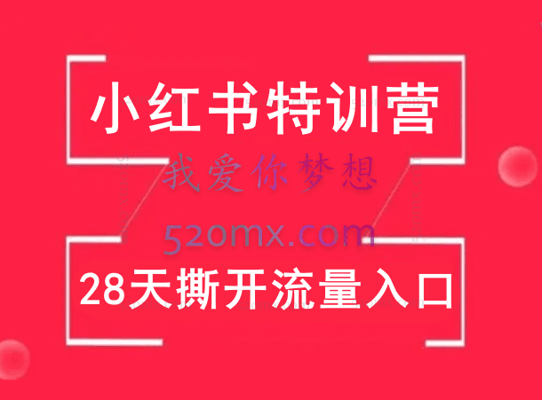 小红书特训营,28天撕开流量入口