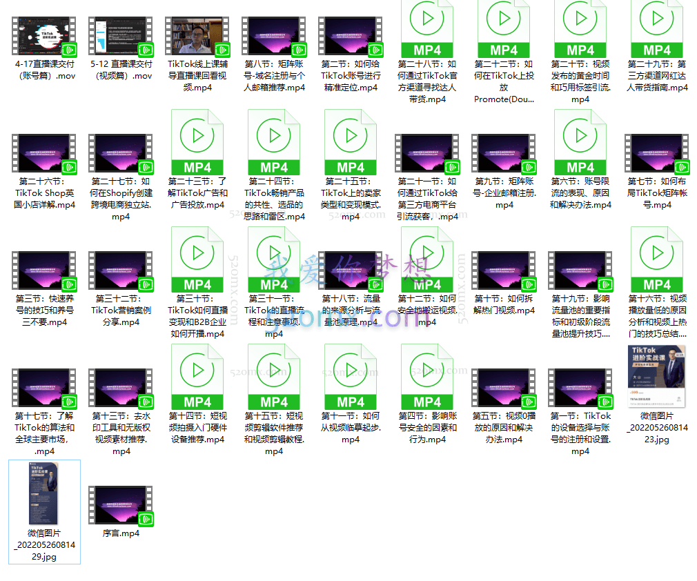 乐贸咨询:大山Tiktok进阶实战课