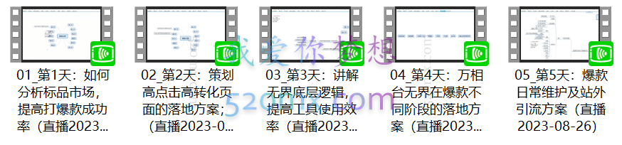南掌柜:打造淘系标品淘系大爆款第17期