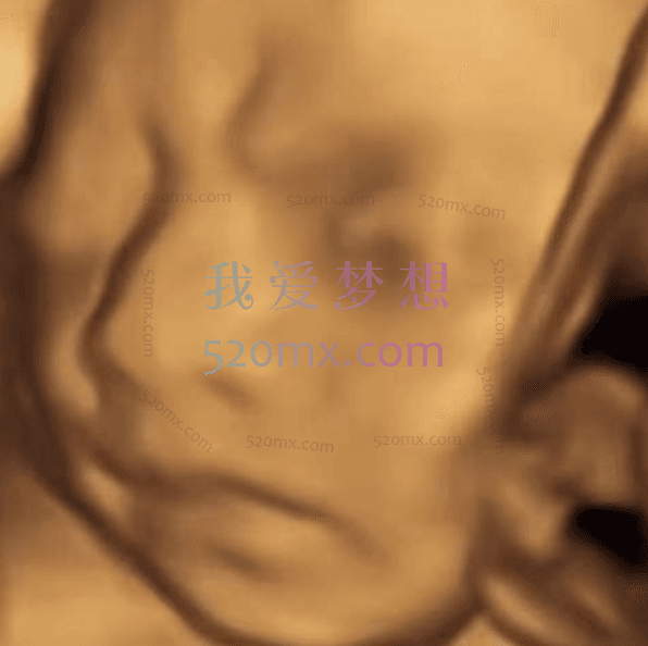 AI四维彩超预测,一单9.9-98,3分钟出图,一天变现1000+