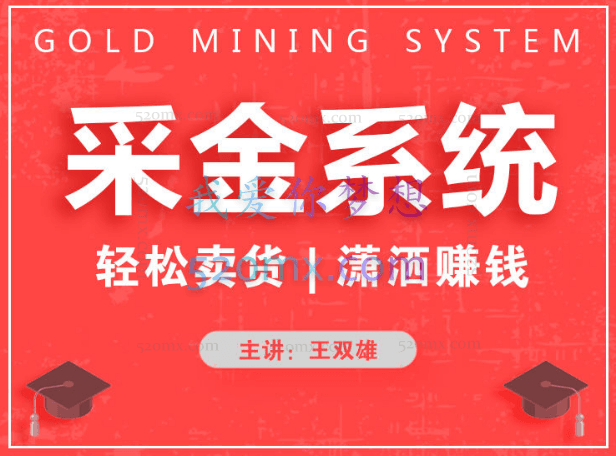 《采金系统2.0》(私域成交)王双雄