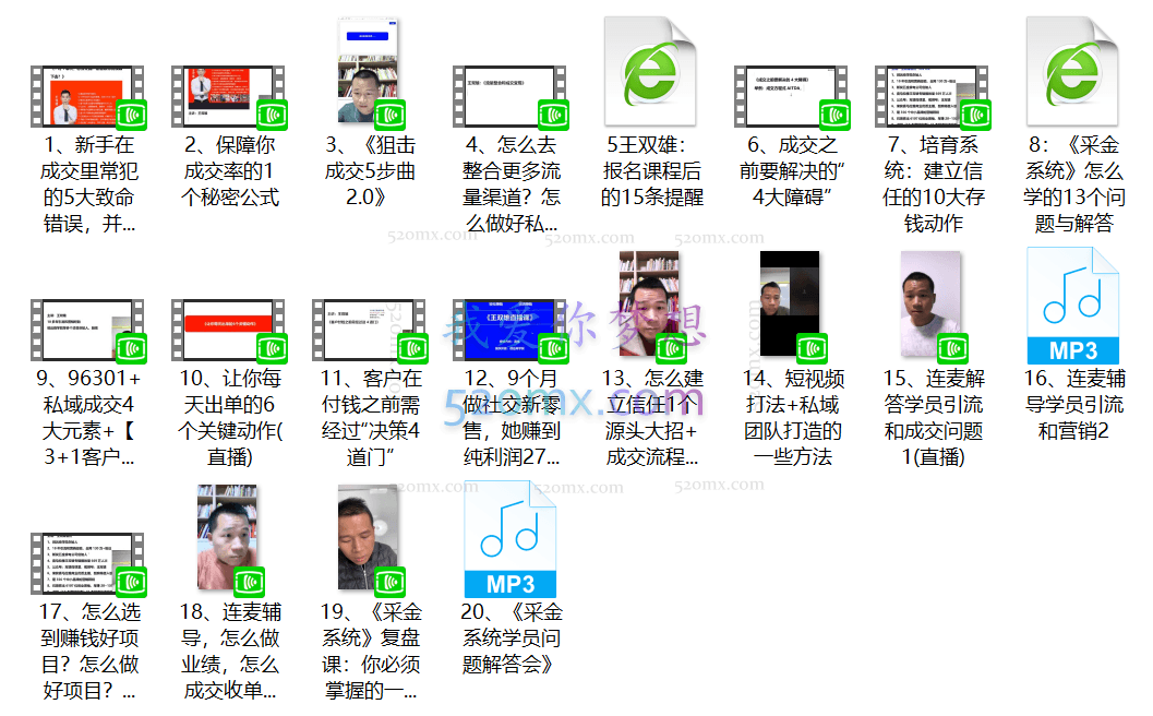 《采金系统2.0》(私域成交)王双雄