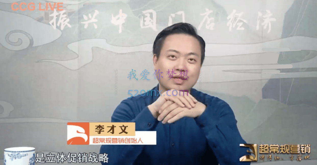 李才文:循环立体促销战略