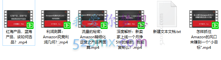 0基础了解学习Amazon亚马逊