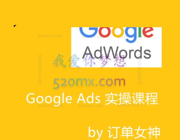 Google ads 谷歌广告投放实操课