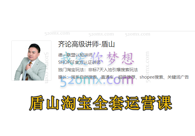 齐论电商盾山淘宝全套运营课,0基础入门实战到进阶