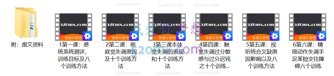 中科院博士:21天儿童感觉统合训练营,六模块微课录音+图文资料