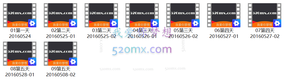 首届中国-巴西国际温尼科特精神分析取向心理咨询师第五期