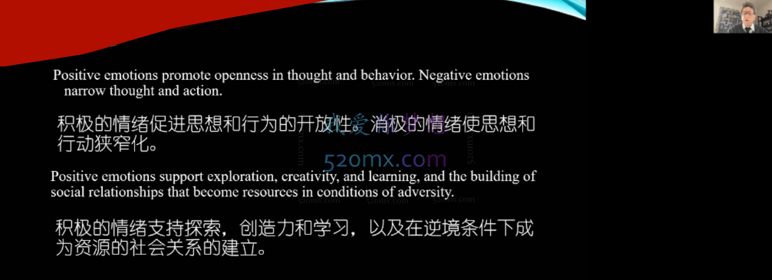 当代儿童治疗师对儿童情绪体验的理解：一套整合性儿童心理治疗的综合框架
