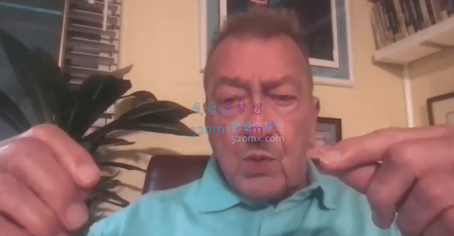 Hedges详解针对4种不同发展水平来访的关系精神分析透视法