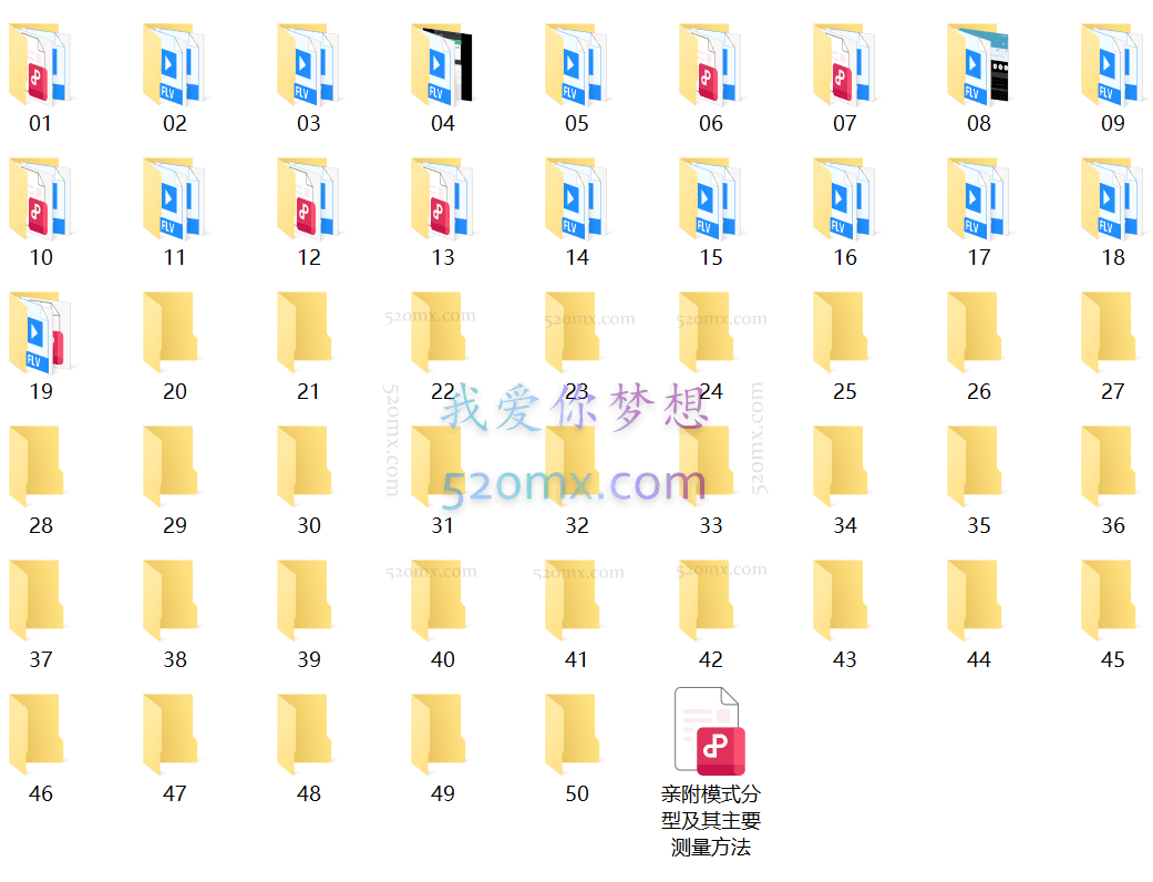 施琪嘉：婴儿观察一年集训项目网络课程视频50讲+文字稿