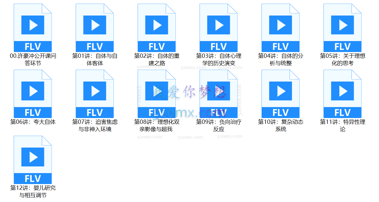 許豪沖：当代自体心理学的临床运用与治愈之道 视频+课件