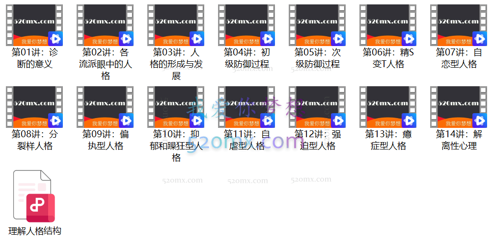 南希经典《精神分析诊断：理解人格结构》动力学咨询师讲读 14讲