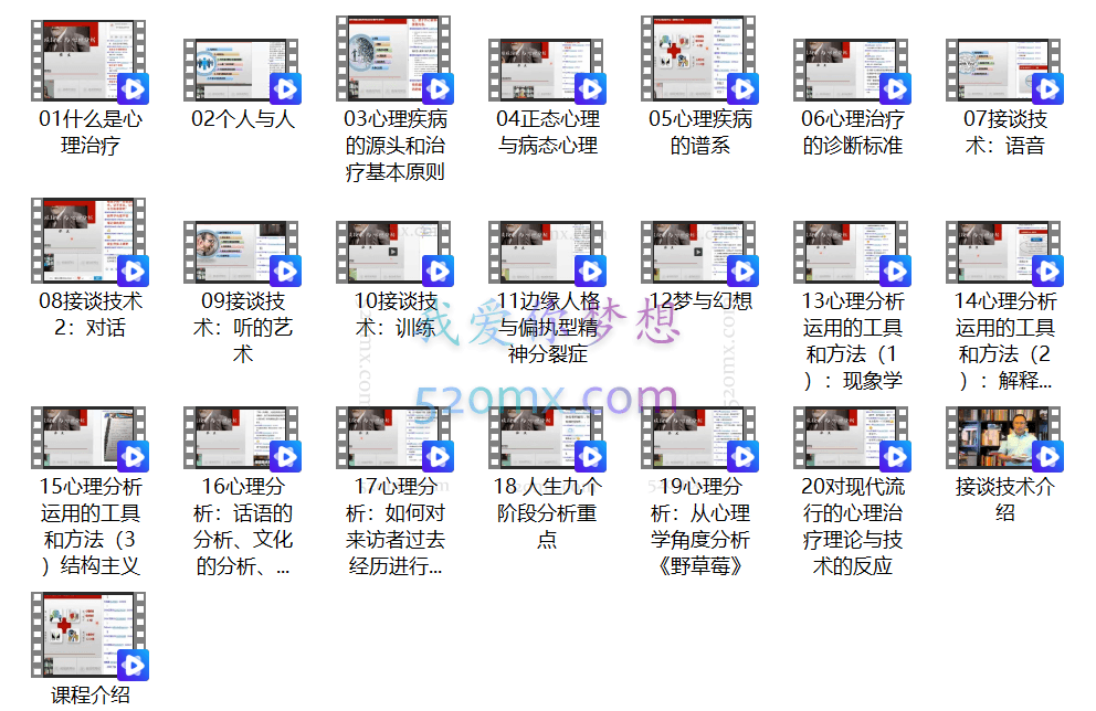 张文:《接谈技术与心理分析》网络班视频录像
