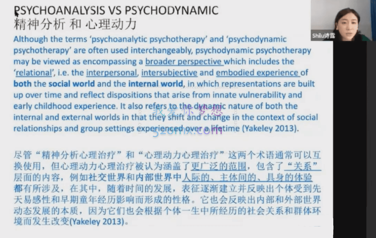 「国合基地」Anne Mckay 短程心理动力治疗理论与技术连续专项培训 8次讲座不含督导