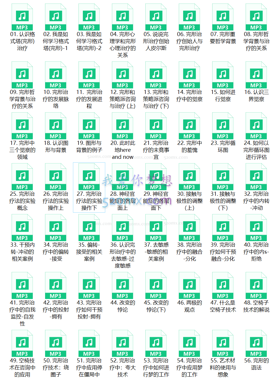 叶斌:格式塔 完形心理治疗入门62讲