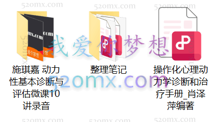 施琪嘉:动力性基本诊断与评估微课录音+整理笔记