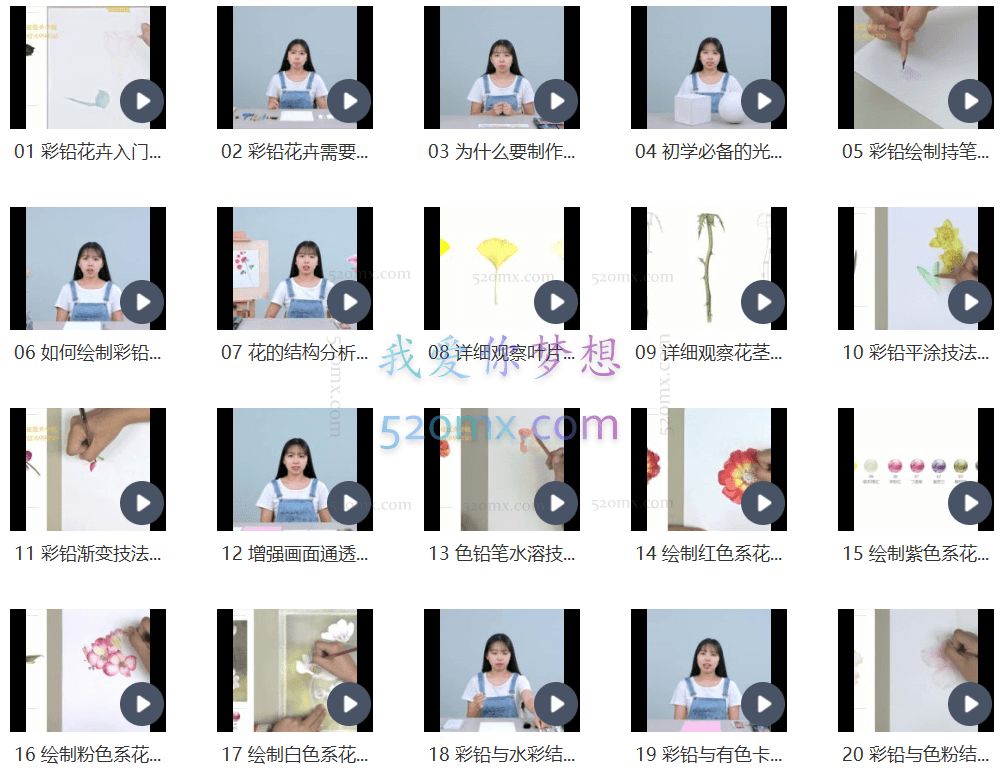 金雪婷：0基础小白彩铅课：央美大神手把手教你画彩铅，让你妙笔生花，秒变大神