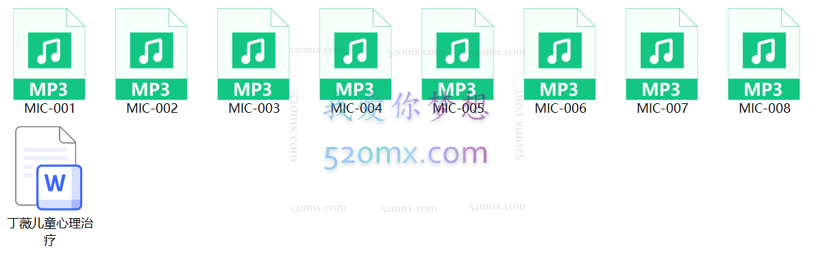 丁薇-儿童心理治疗工作坊-两天课程录音教程10小时24分