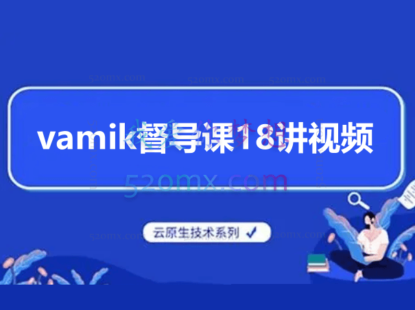 vamik督导课18讲视频