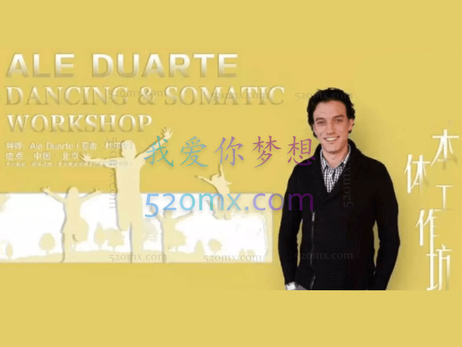 亚雷.杜尔特：本体整合工作坊高清视频录像