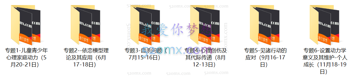 张海音：六大专题理论与个案督导地面课程现场录音+课件