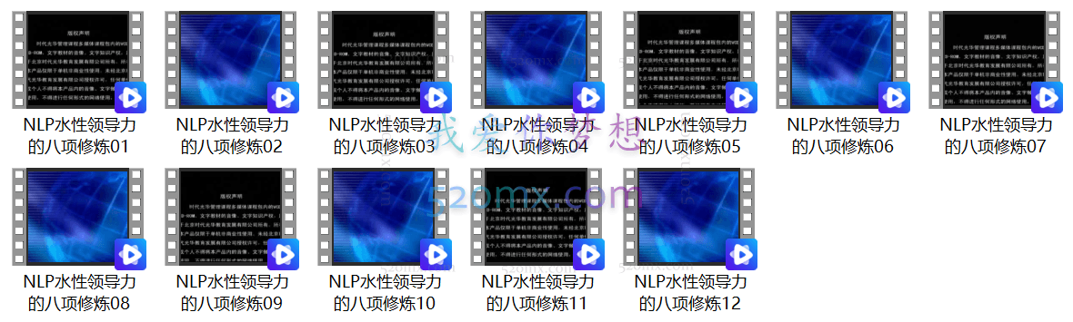 NLP水性领导力的八项修炼--胡谢骅
